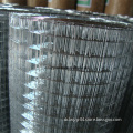 Low Price 1" Welded Wire Mesh (ISO9001)